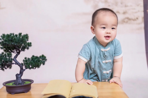 阳江可爱的企鹅宝宝